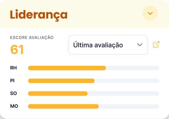 Tela de Liderança
